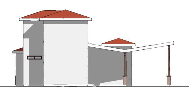 Olive - Image 8
